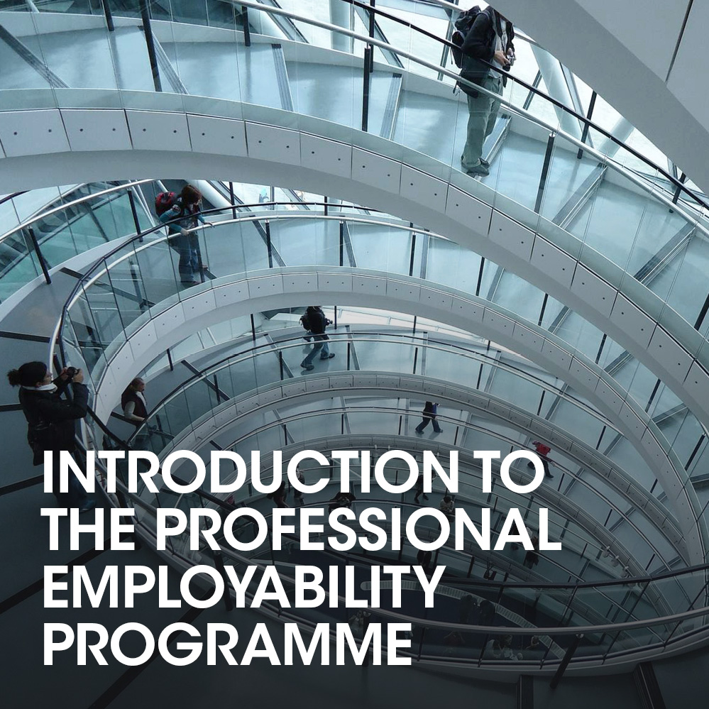 introduction-to-the-professional-employability-programme