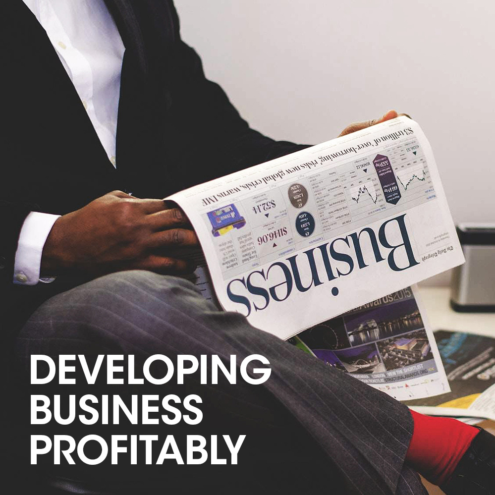 developing-business-profitability