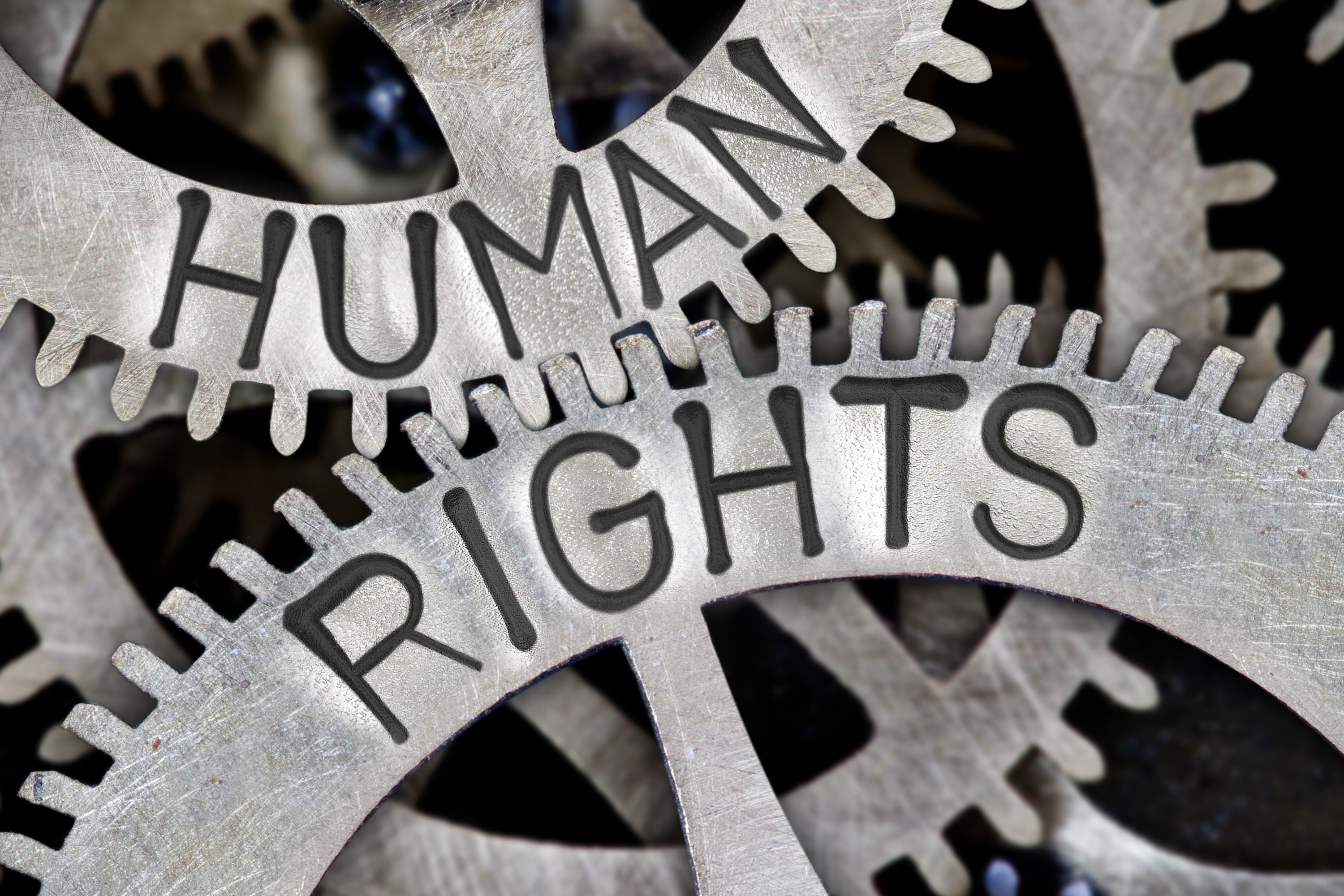 cogs with human rights text